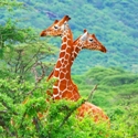 Kenya Africa Been There