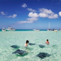 Cayman Islands Stingray City