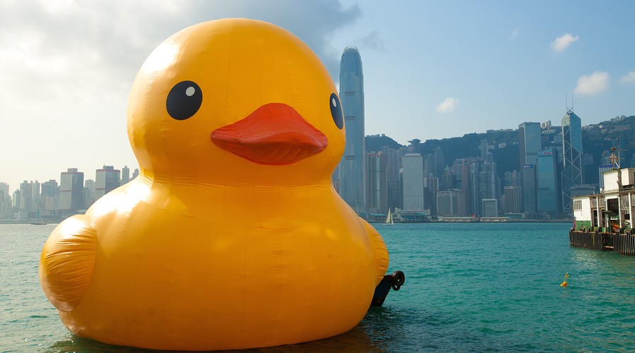 giant yellow duck
